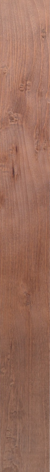 Western Hemlock – Walnut 23