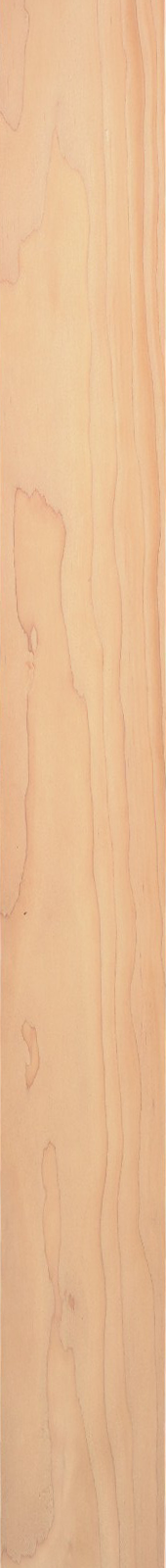 Western Hemlock – Maple 06