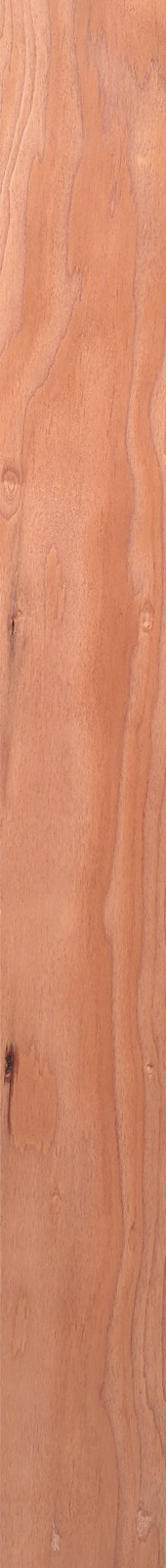Western Hemlock – Cherry 25