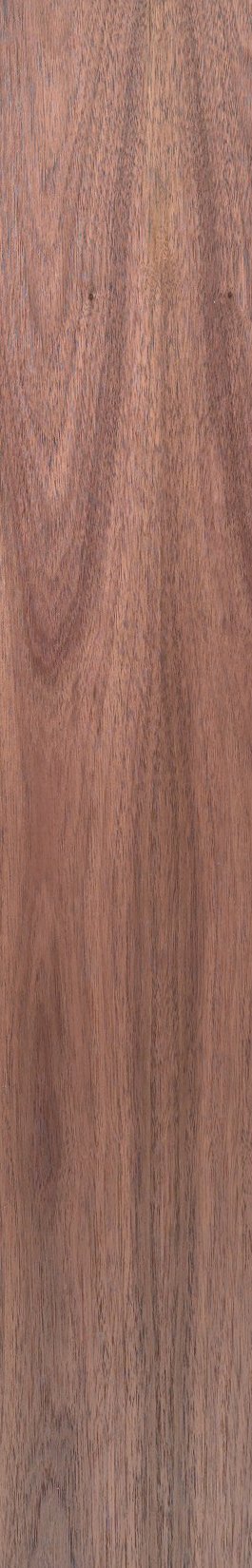 Walnut – Clear 46