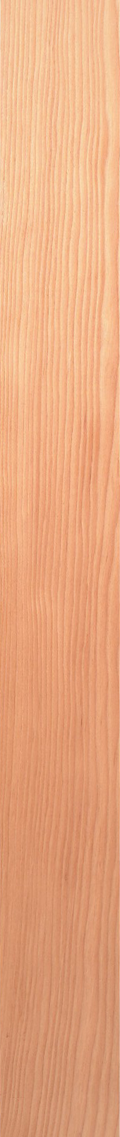 Western Hemlock – Fir 06