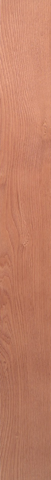 Western Hemlock – Cherry 16