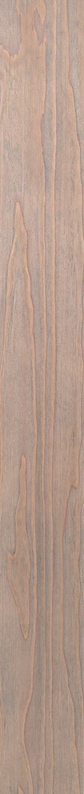 Western Hemlock – Driftwood 34