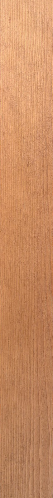 Western Hemlock – Teak 06
