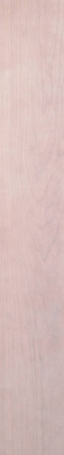 Cherry – Pickle 16