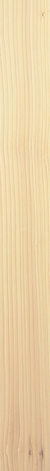 Western Hemlock – Maple 30