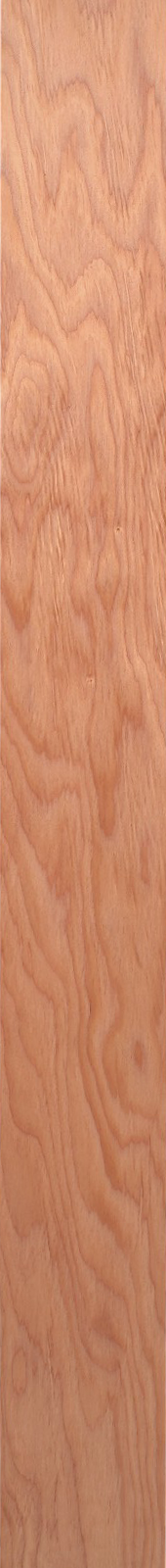 Western Hemlock – Fir 07