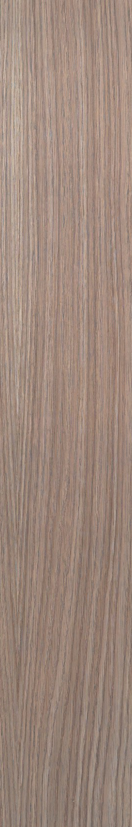 White Oak – Driftwood 02