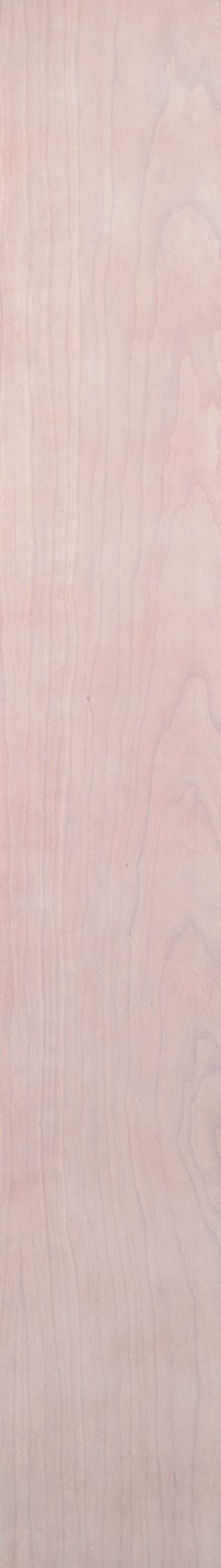 Cherry – Pickle 14