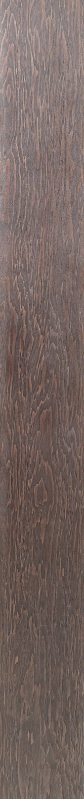 Western Hemlock – Ebony 07