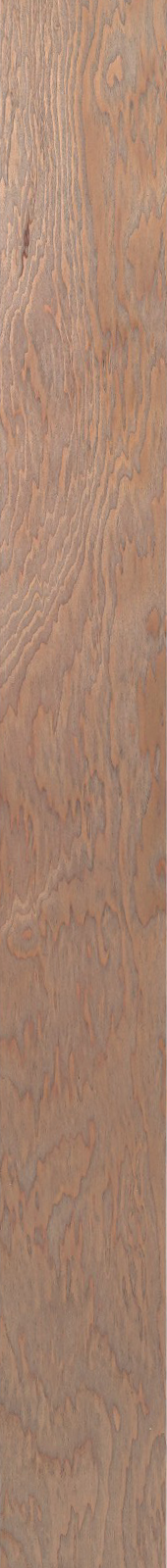 Western Hemlock – Driftwood 21