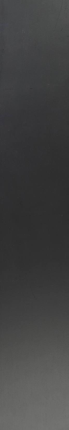 White Maple – Black Opaque 05