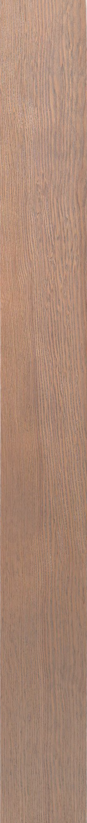 Western Hemlock – Driftwood 35