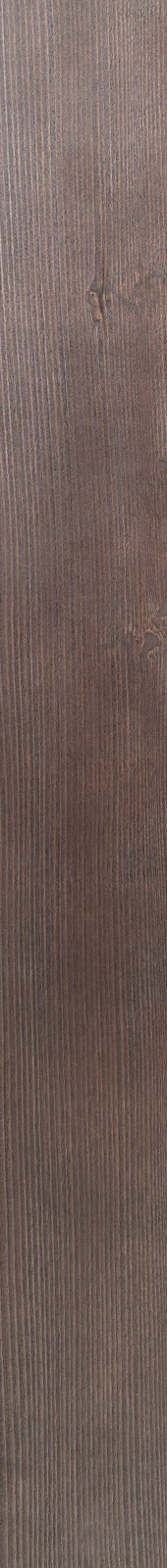 Western Hemlock – Ebony 03