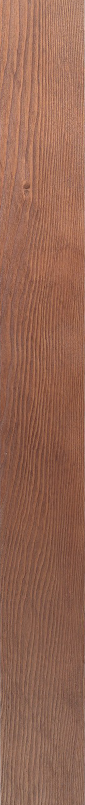 Western Hemlock – Walnut 29