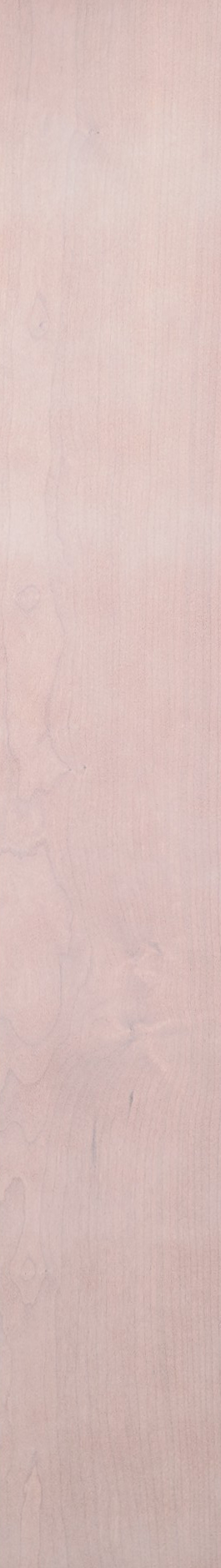 Cherry – Pickle 12