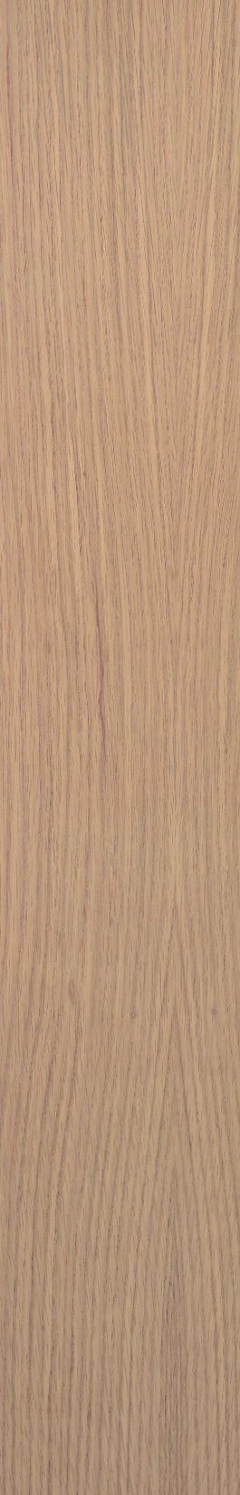 White Oak – Maple 20