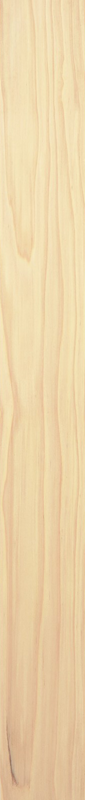 Western Hemlock – Maple 14