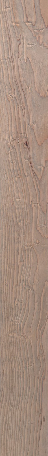 Western Hemlock – Driftwood 17