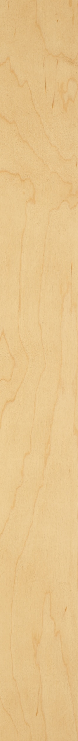 PS White Maple Veneer – Hemlock 15