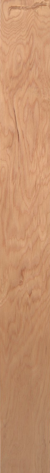 Western Hemlock – Oak 07
