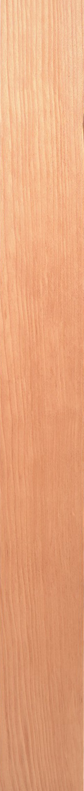 Western Hemlock – Fir 05