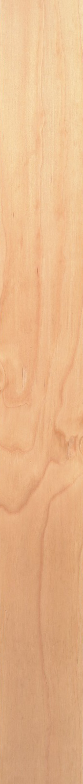 Western Hemlock – Oak 16