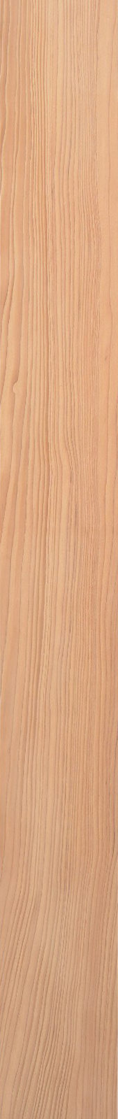 Western Hemlock – Maple 20