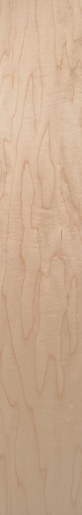 White Maple – Clear 24