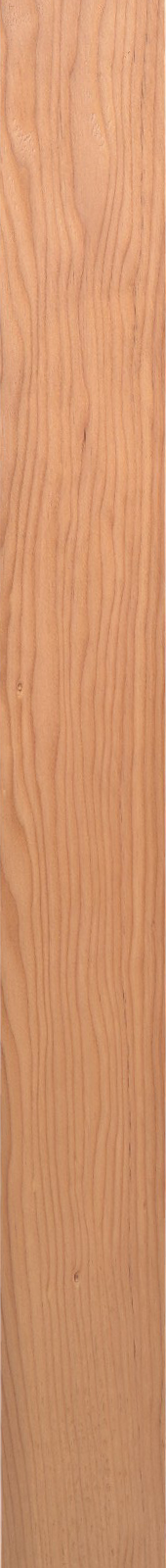 Western Hemlock – Oak 13