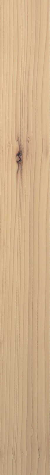 Western Hemlock – Maple 29