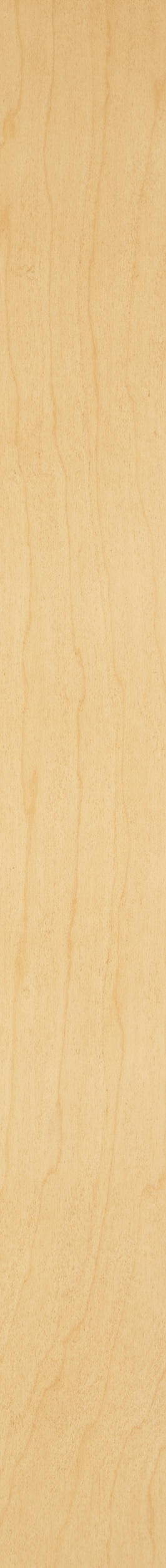 PS White Maple Veneer – Hemlock 09