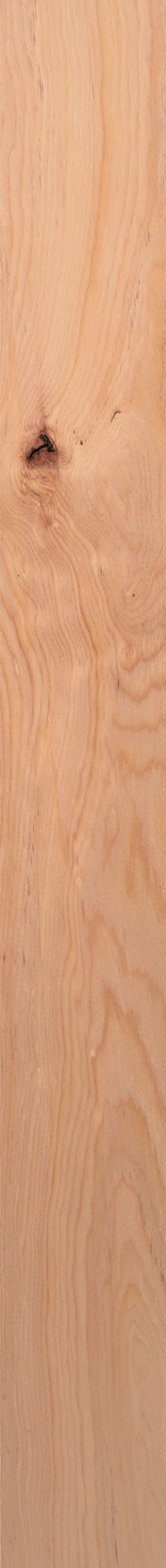 Western Hemlock – Clear 05