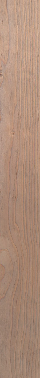 Western Hemlock – Driftwood 29
