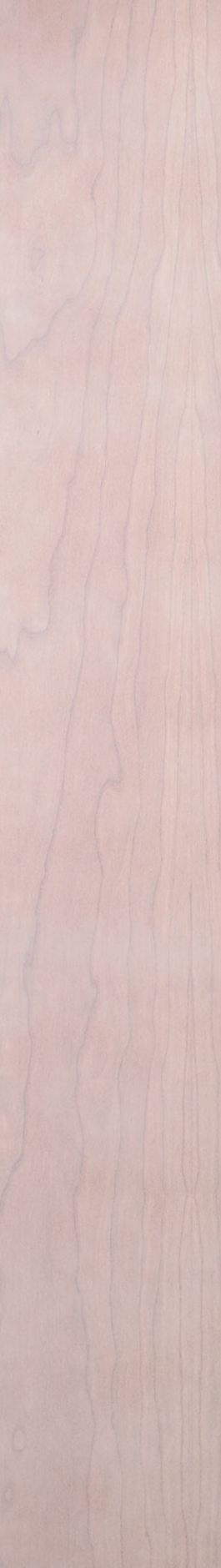 Cherry – Pickle 06