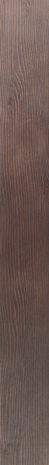Western Hemlock – Ebony 01