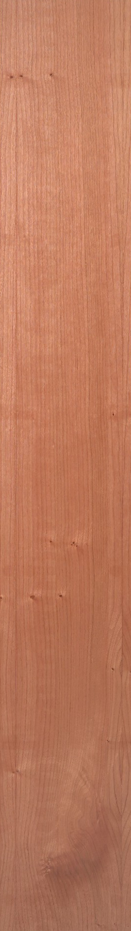 Cherry – Clear 31