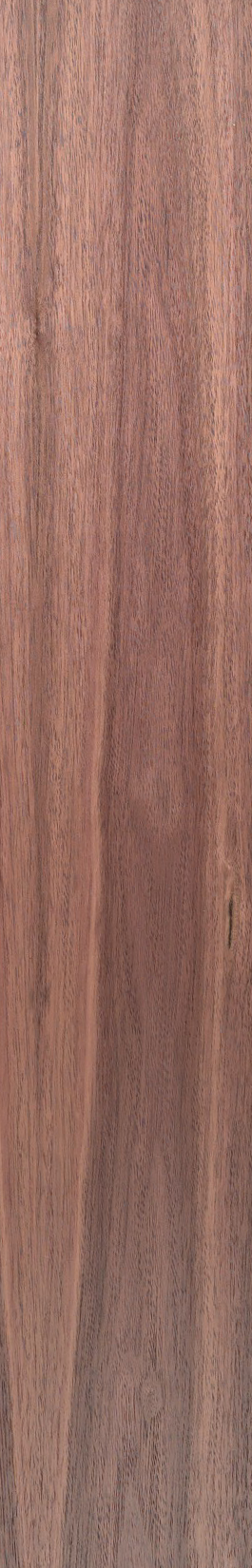 Walnut – Clear 40