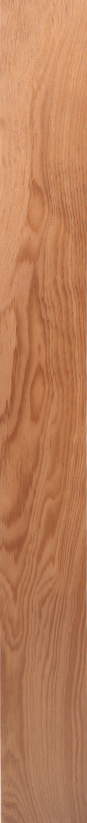 Western Hemlock – Oak 15