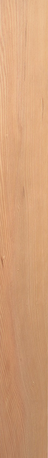 Western Hemlock – Oak 34