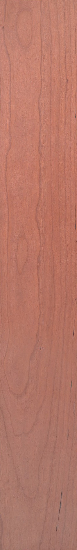 Cherry – Cherry 08