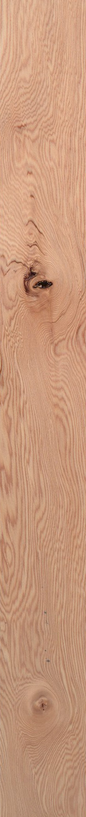 Western Hemlock – Clear 17