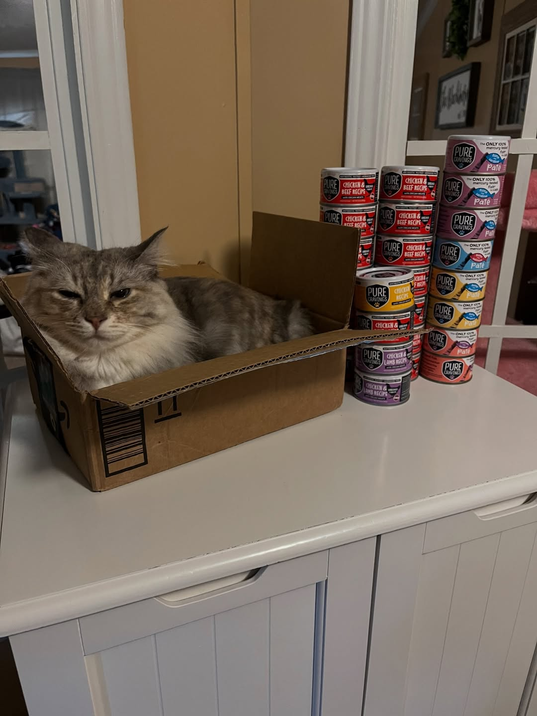 When purecravingspet sends you favorites and a box to nap in