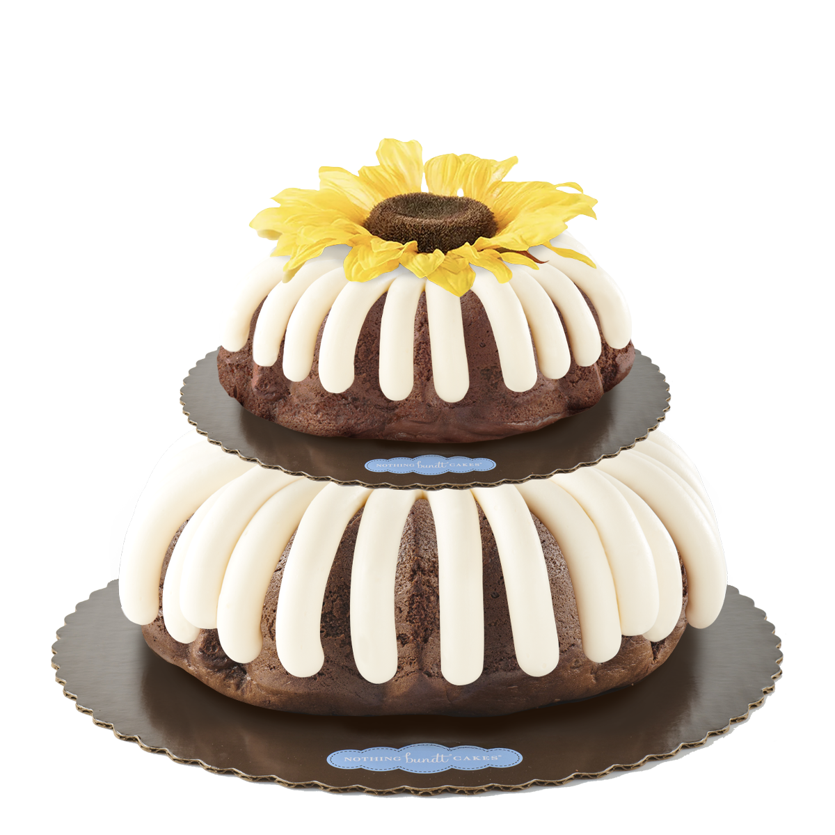 Tiered Cake With Flower Gift Wrapped in Cellophane