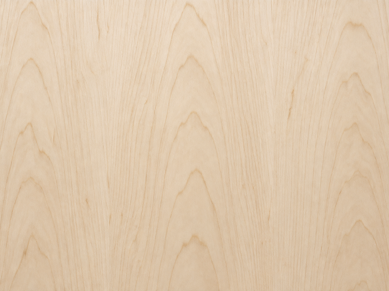 White Maple