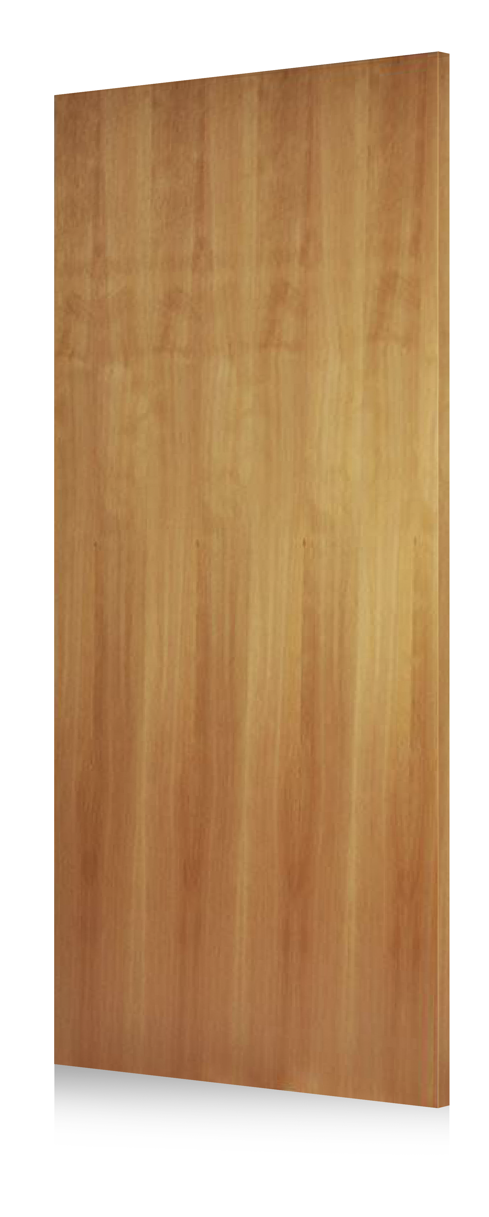 Hardwood and Softwood