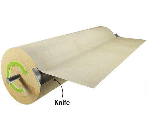 Variations in Authentic Wood Veneers