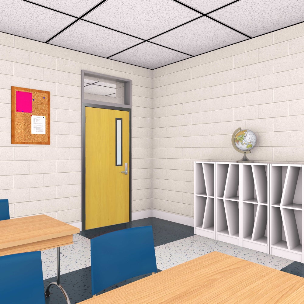 Wood Veneer Classroom Doors with Lite