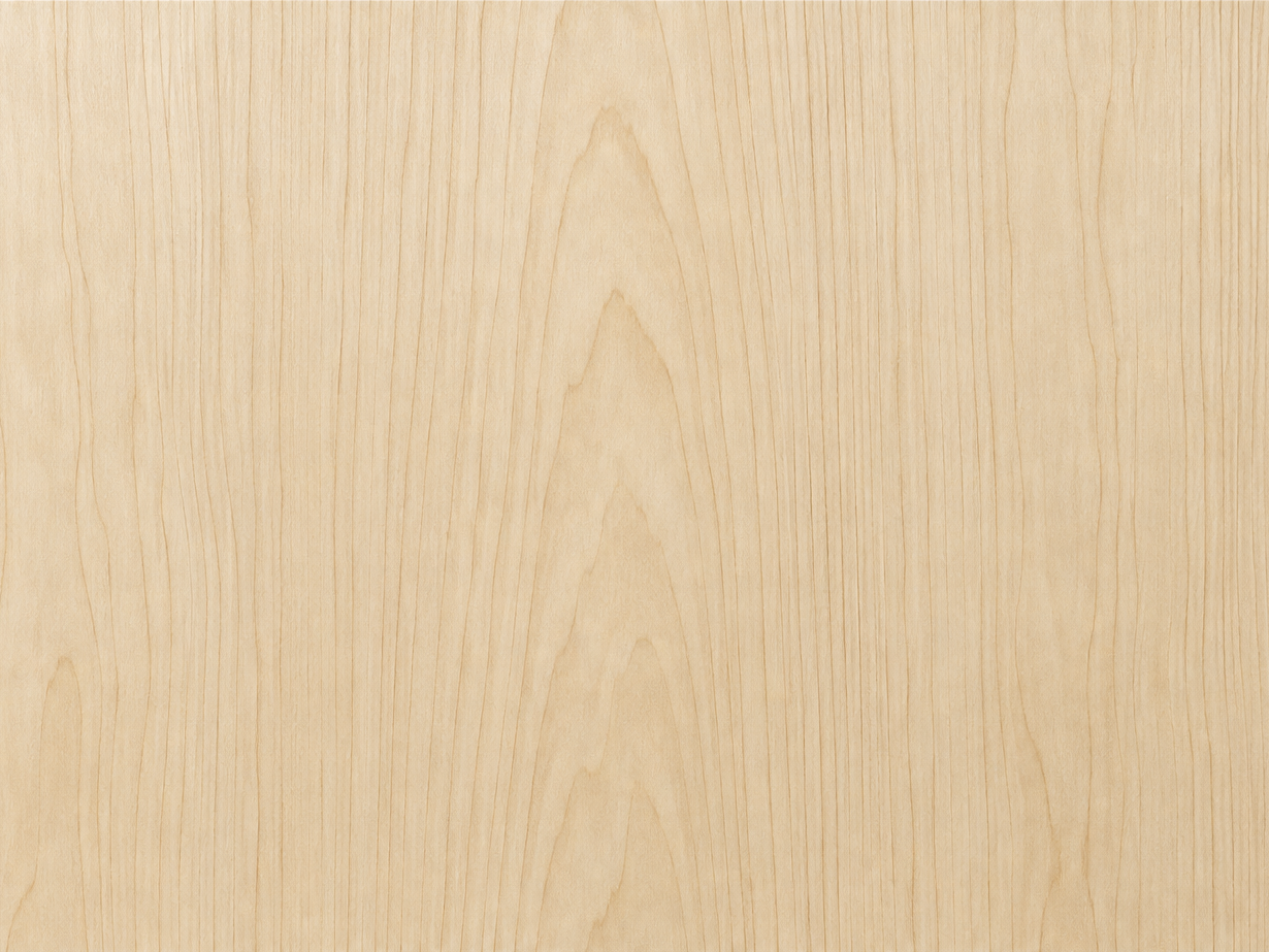 White Birch