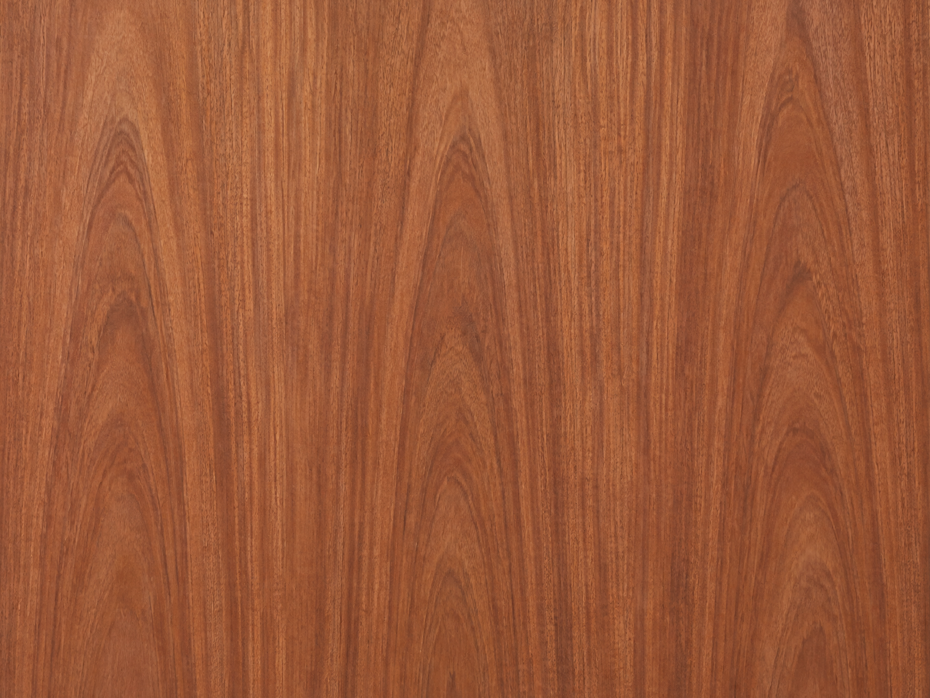 African Mahogany